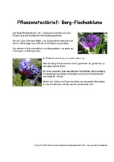 Pflanzensteckbrief-Berg-Flockenblume.pdf